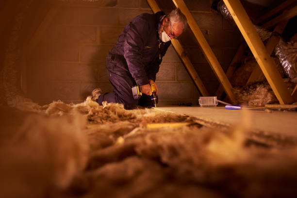 Best Eco-Friendly Insulation in Pleasant Hill, CA